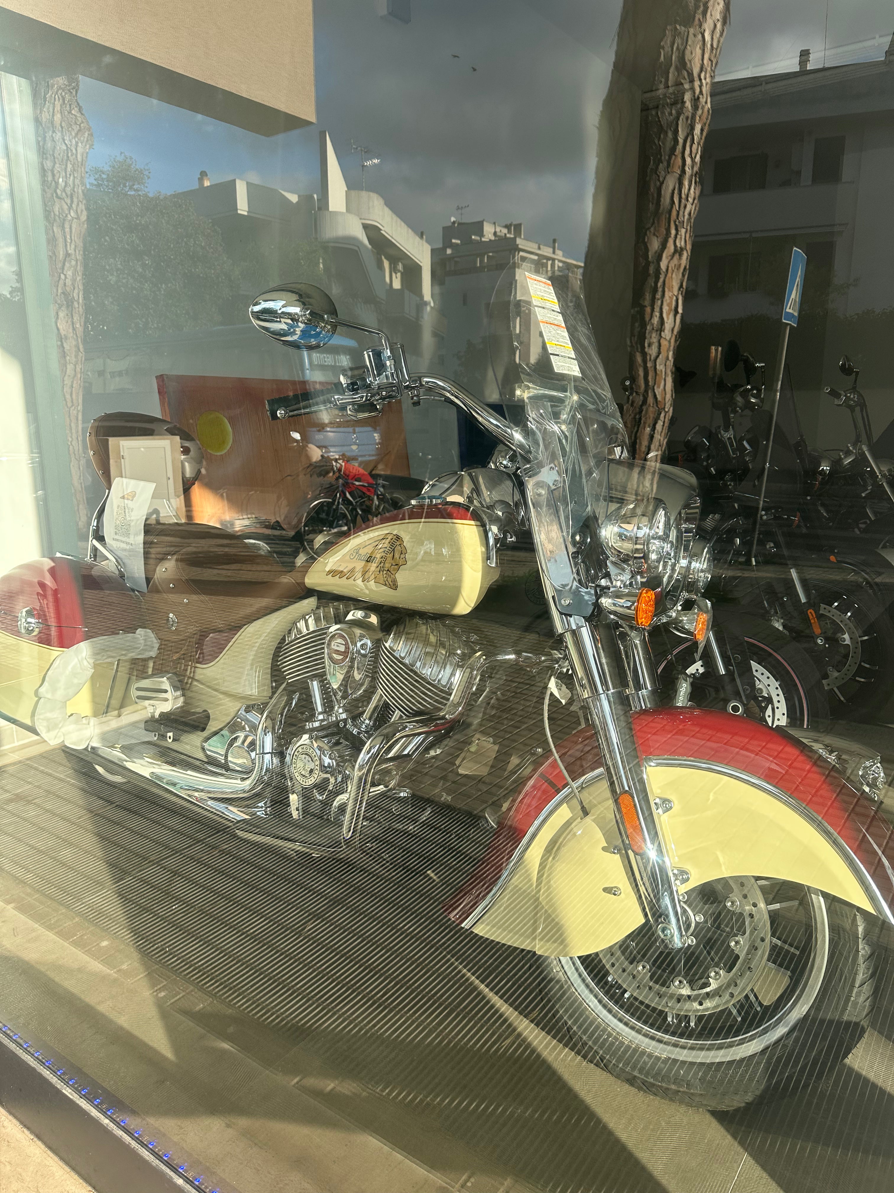 INDIAN SPRINGFIELD SPECIAL EDITION 9 DI 50