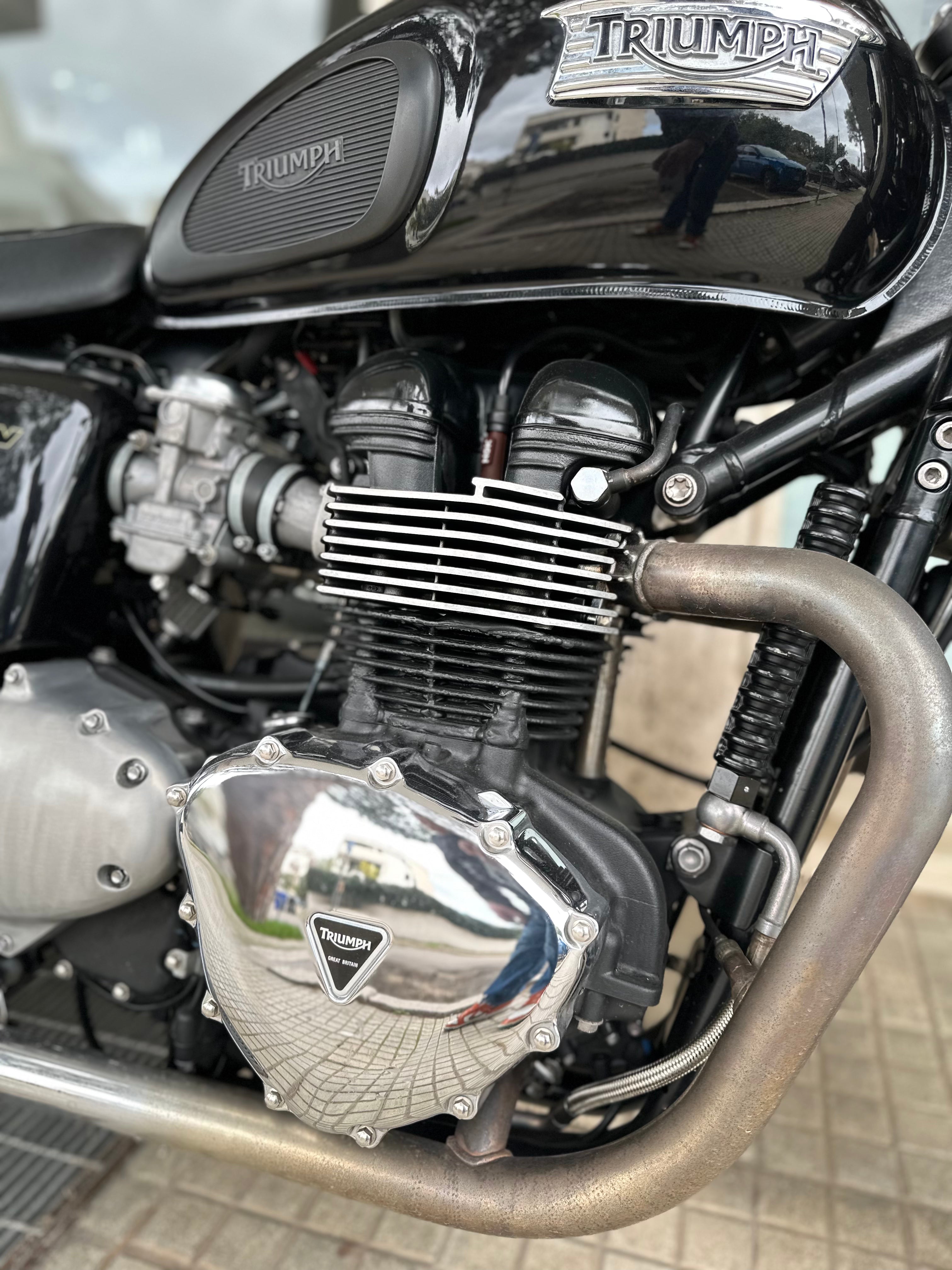 TRIUMPH THRUXTON 900 USATO