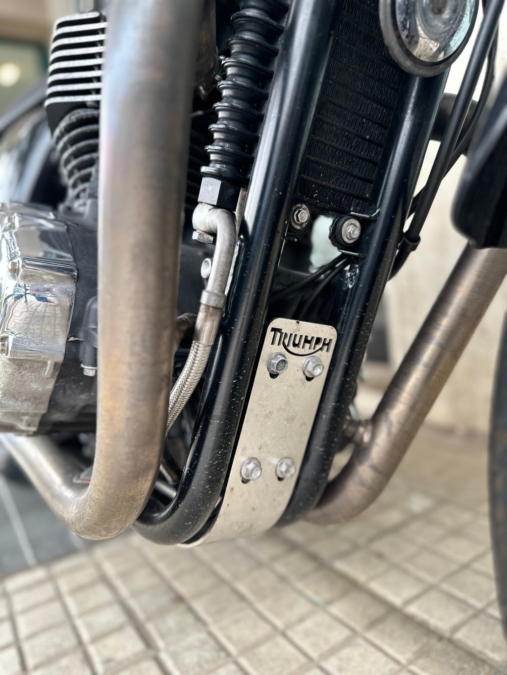 TRIUMPH THRUXTON 900 USATO