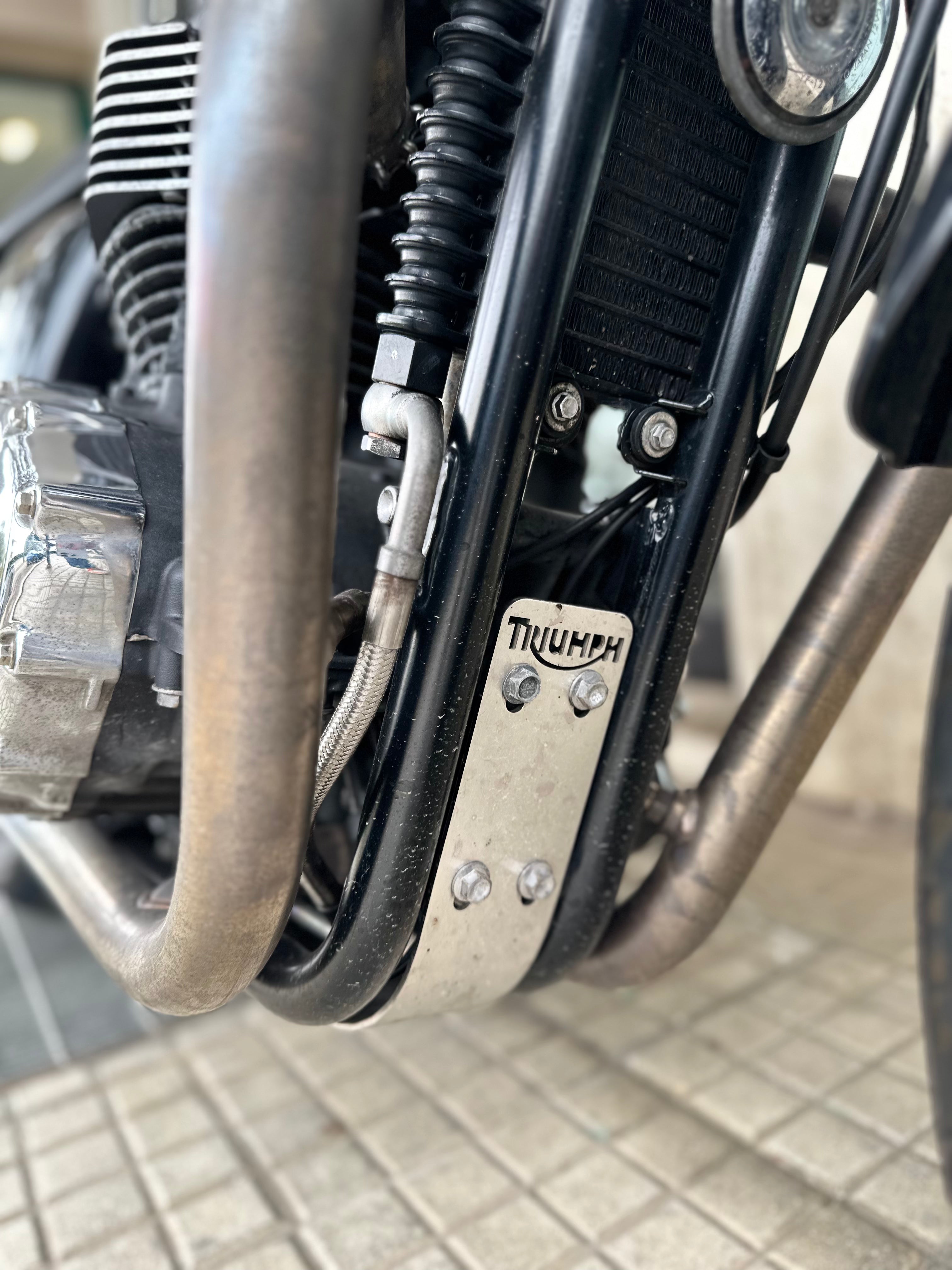 TRIUMPH THRUXTON 900 USATO