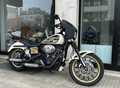 HARLEY DAVIDSON DYNA SCREAMIN'EAGLE