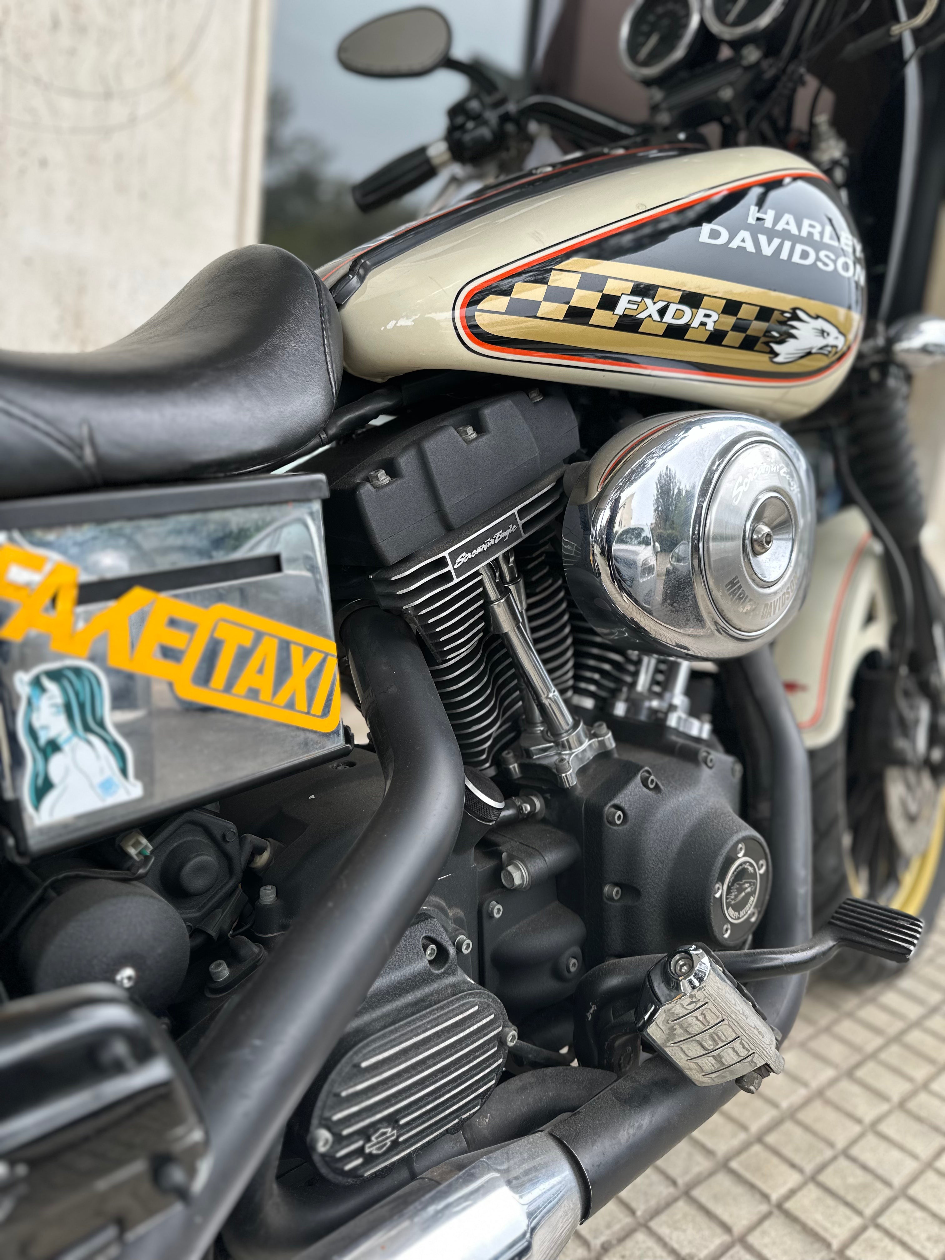 HARLEY DAVIDSON DYNA SCREAMIN'EAGLE