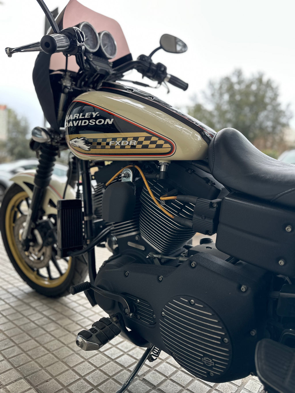 HARLEY DAVIDSON DYNA SCREAMIN'EAGLE