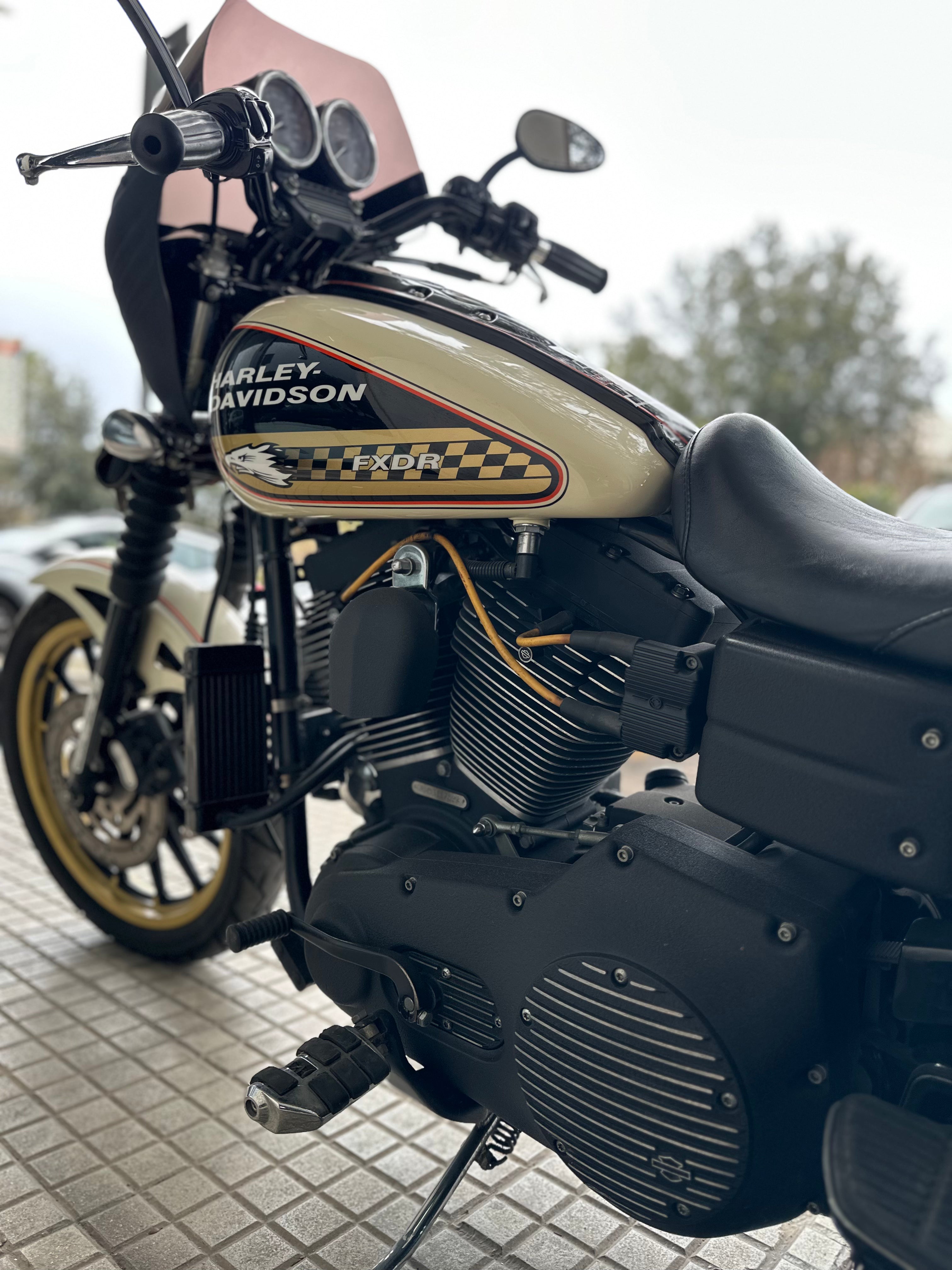 HARLEY DAVIDSON DYNA SCREAMIN'EAGLE