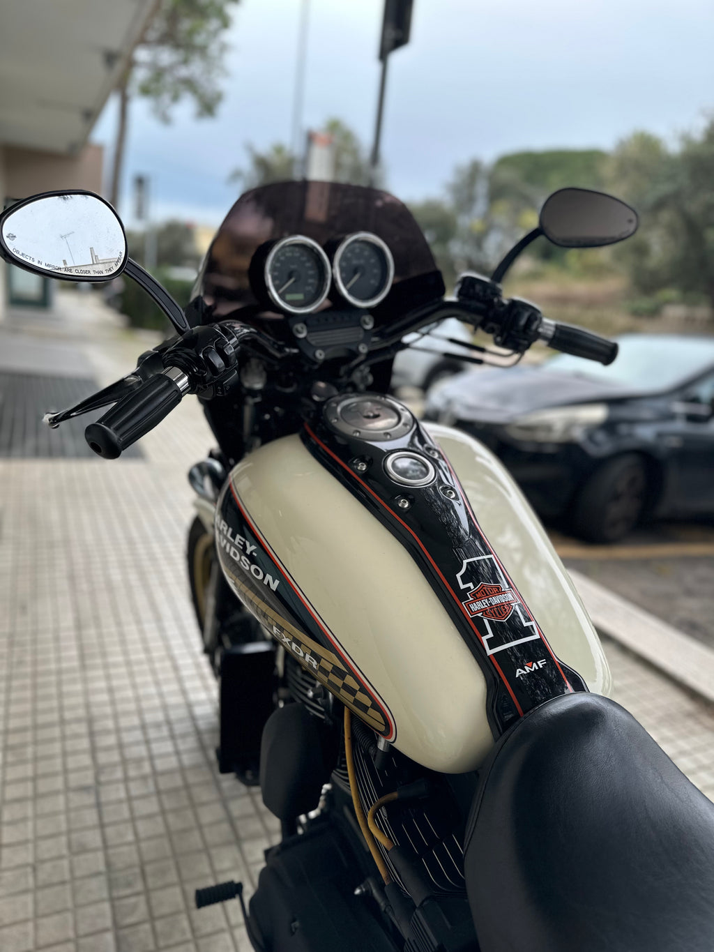 HARLEY DAVIDSON DYNA SCREAMIN'EAGLE