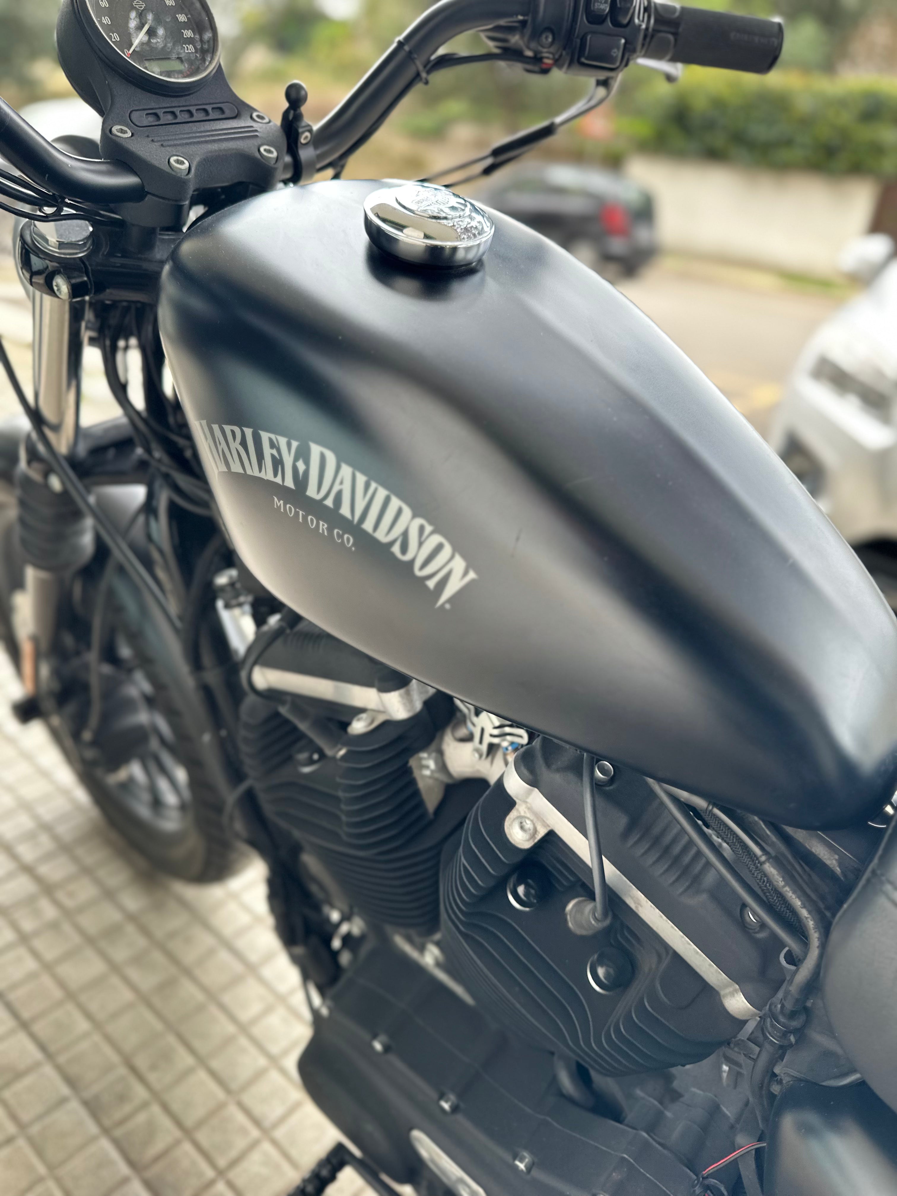 HARLEY DAVIDSON SPORTSTER 883 IRON ANNO 2014 ABS