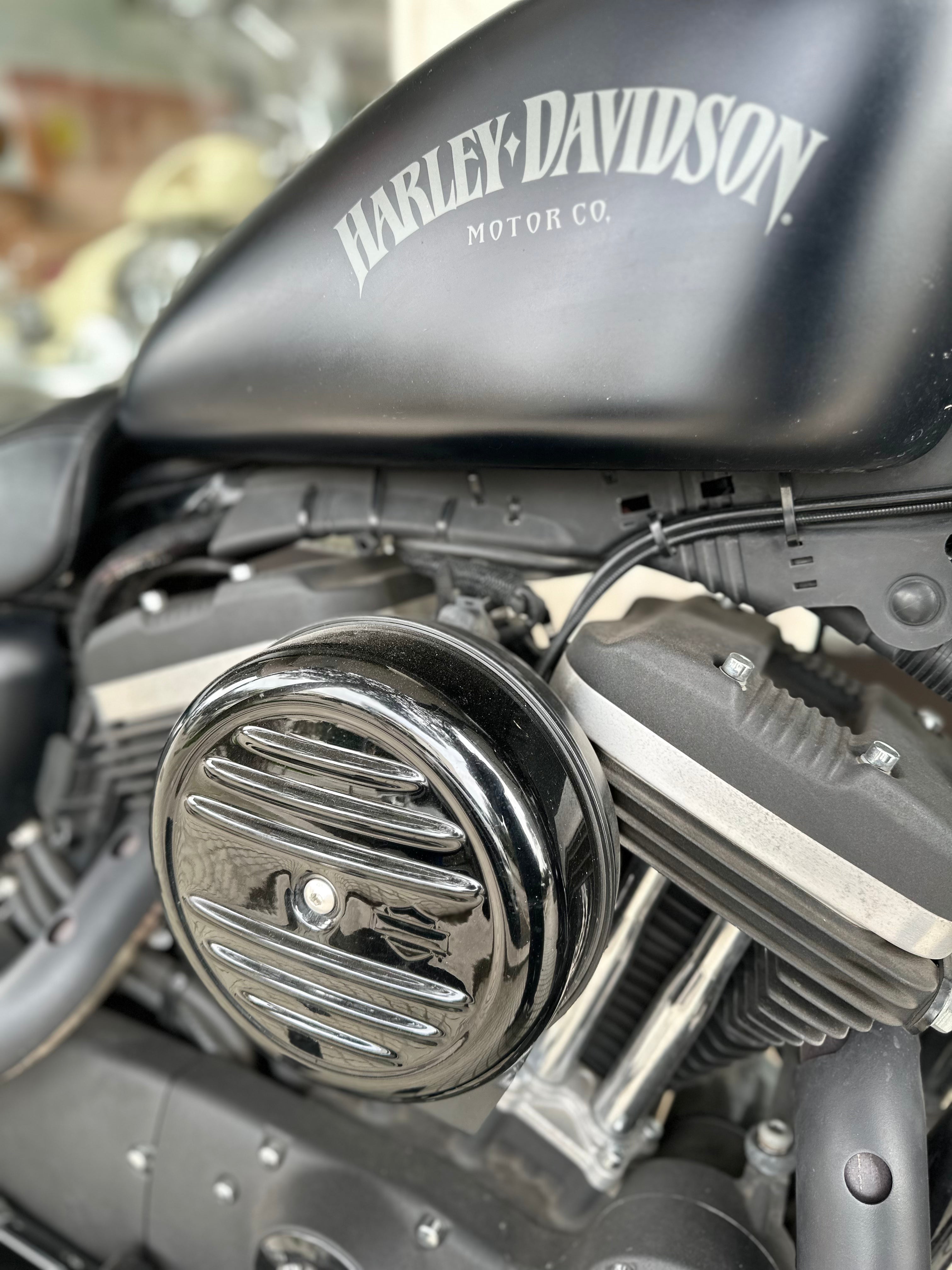 HARLEY DAVIDSON SPORTSTER 883 IRON ANNO 2014 ABS